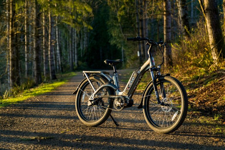 Zooz eBike